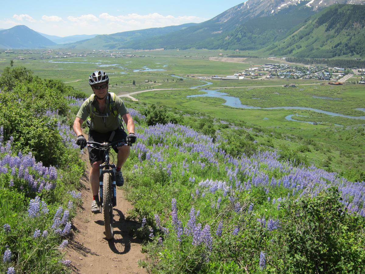 Purple Mountain Bed & Breakfast & Spa Crested Butte Exterior foto